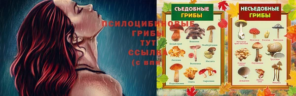 таблы Михайловка