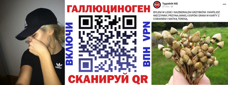 Псилоцибиновые грибы ЛСД  Полярный 