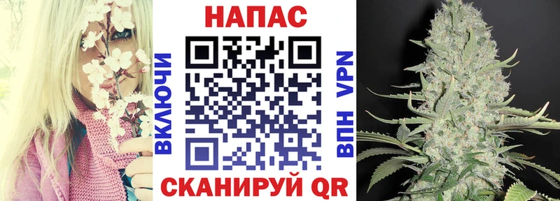 МАРИХУАНА SATIVA & INDICA  KRAKEN зеркало  Полярный 